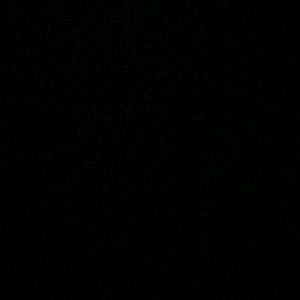 Meet your Posher, Daisy